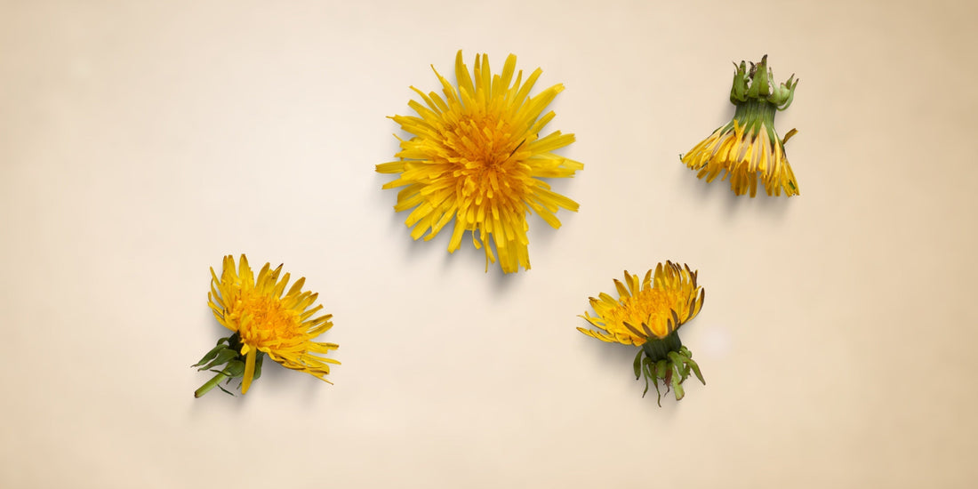 DETOX voor een frisse huid en sterkere resultaten van skincare